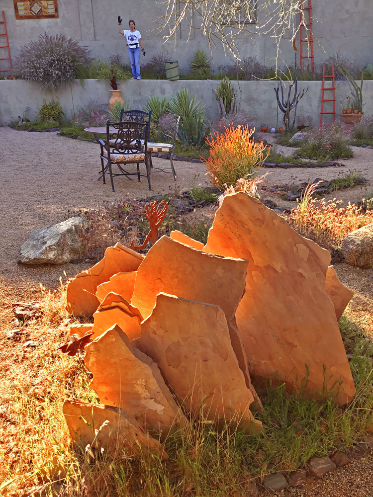Backyard Project #12