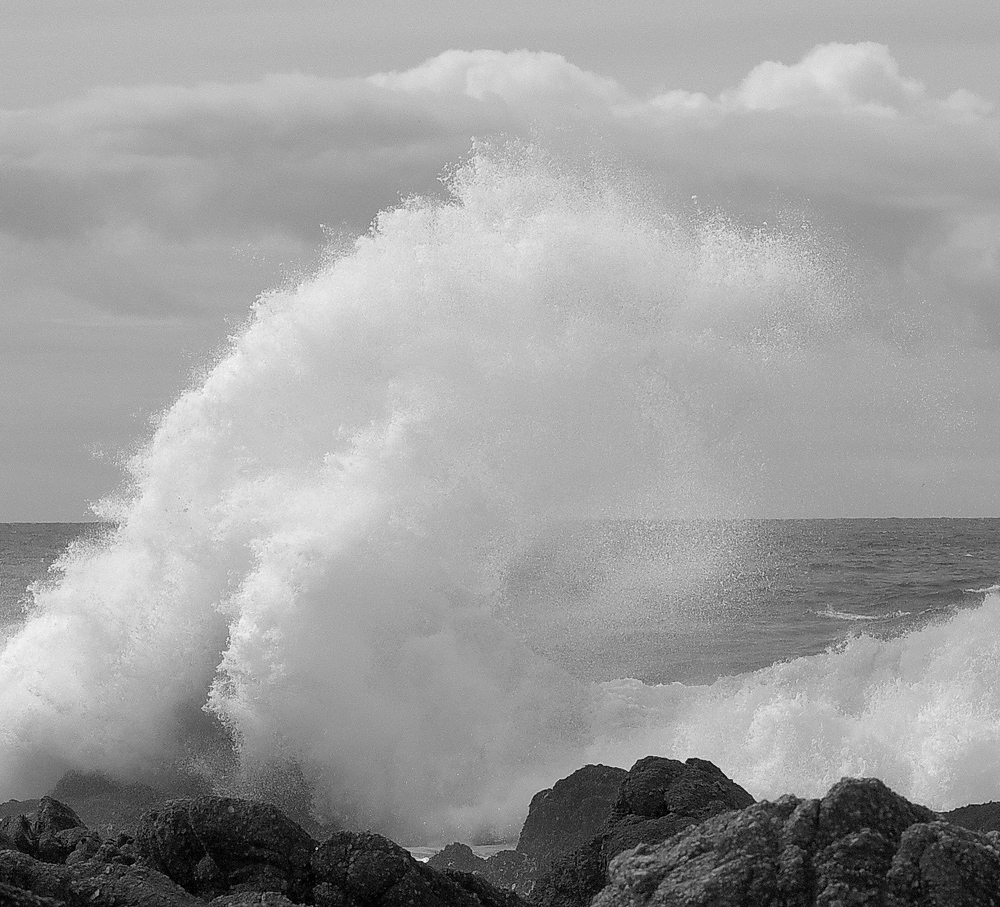 Asilomar Wave Detail