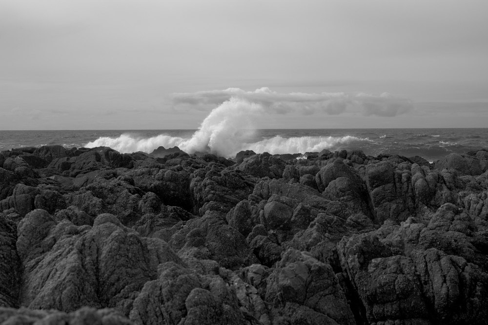 Asilomar Wave