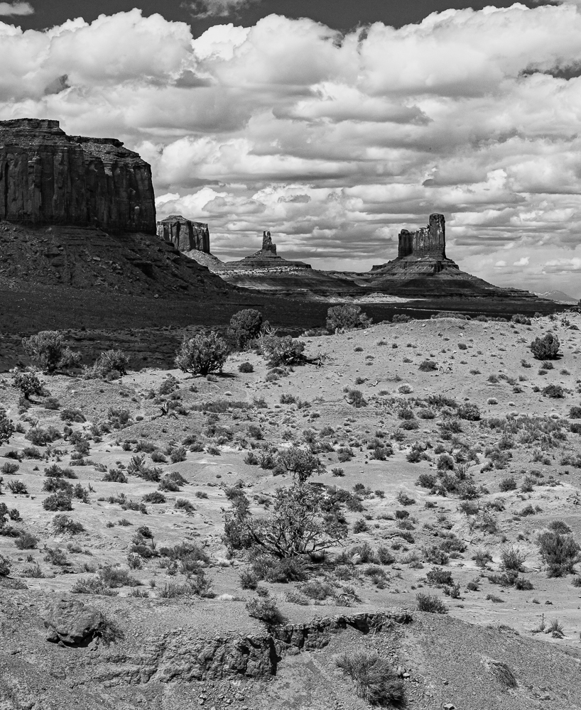 Mitten Monuments, May 2010”