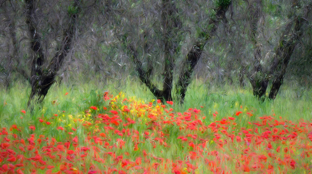 Processed in Topaz Studio 2 with Impression