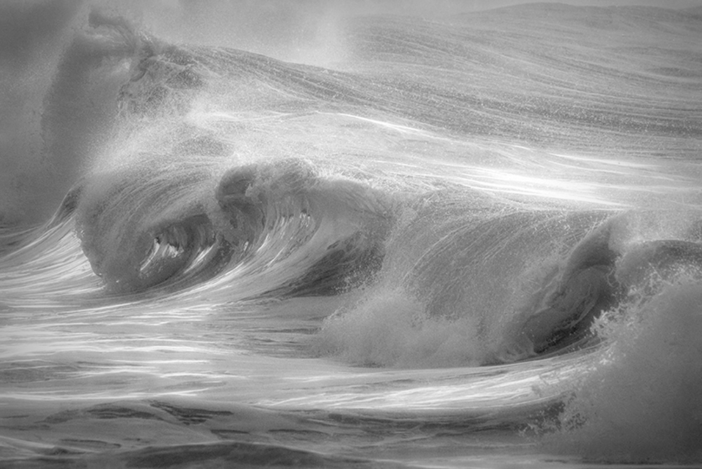 Processed in Topaz Studio 2