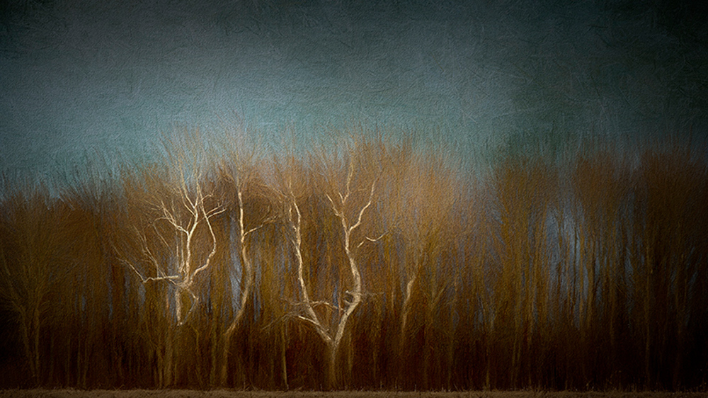 Processed in Topaz Studio 2 with Impression