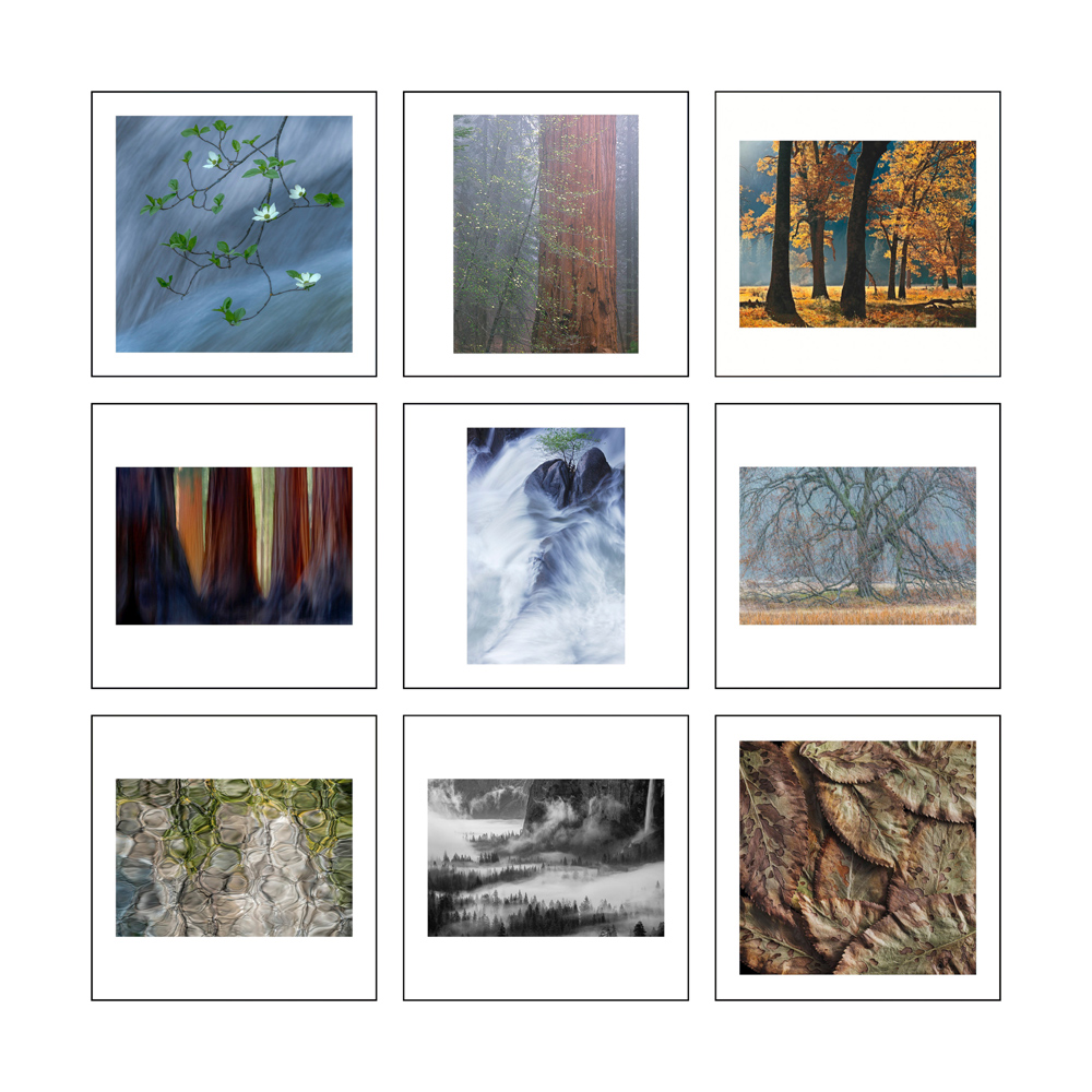 Some Of The Images In Light On The Landscape book