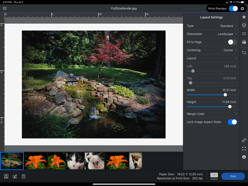 Epson Print Layout on an iPad