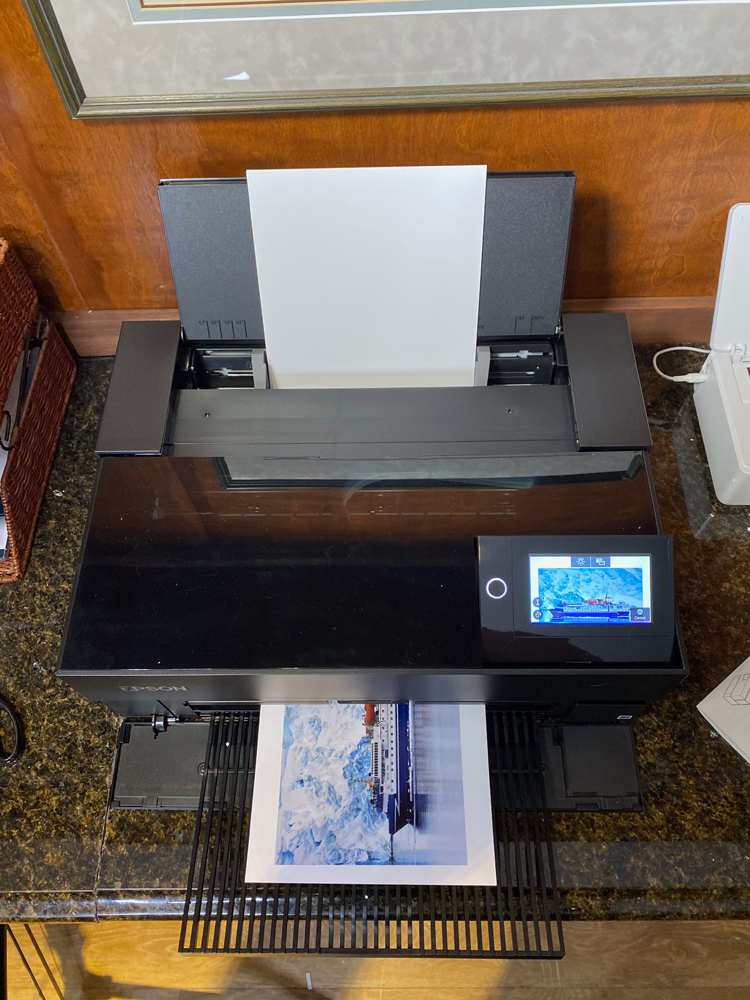 The Epson P700 Printer