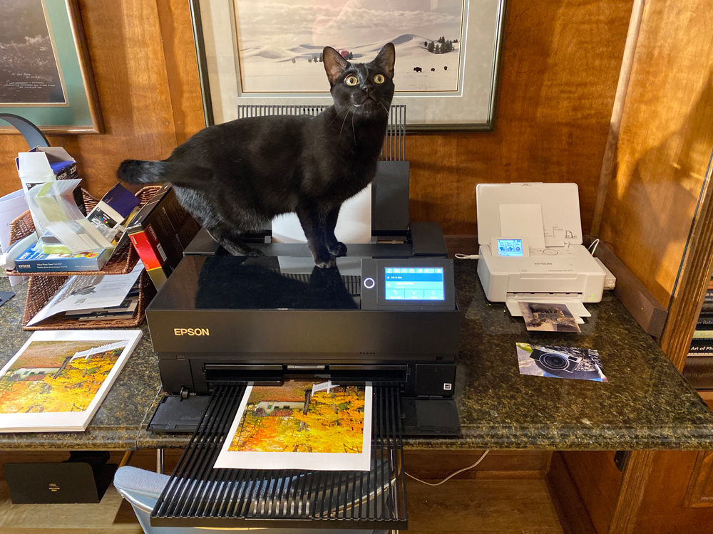 I have an area on my desk where my two printers sit. The Epson P700 and PictureMate 400
