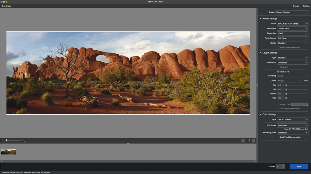 Epson print layout set to print a panorama print
