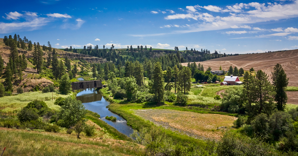 The bridge, barn and home and pretty much whatever is green was destroyed in the recent wildfire.