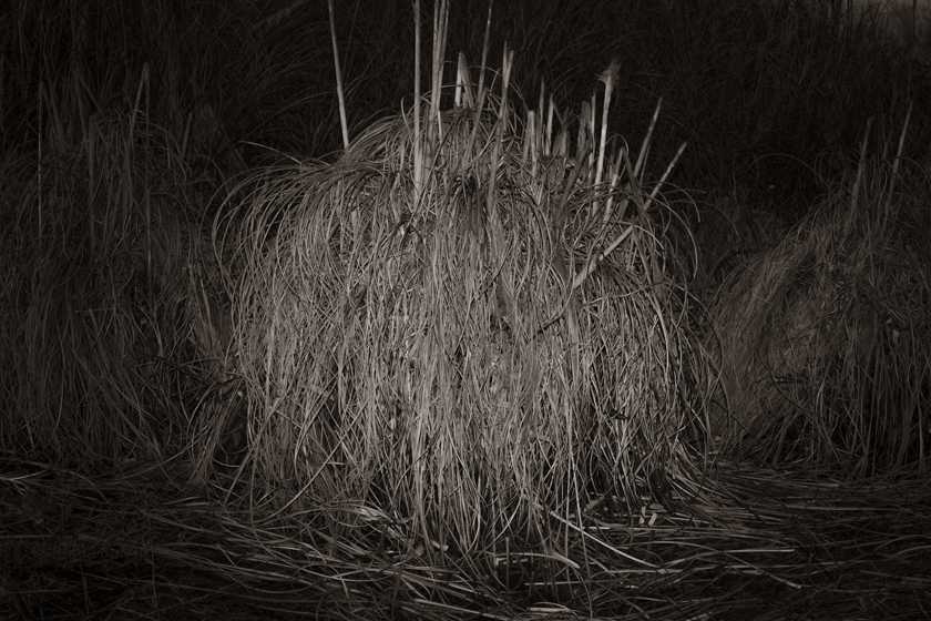 Move At Night