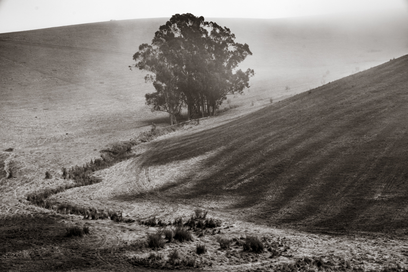 Winding Way
