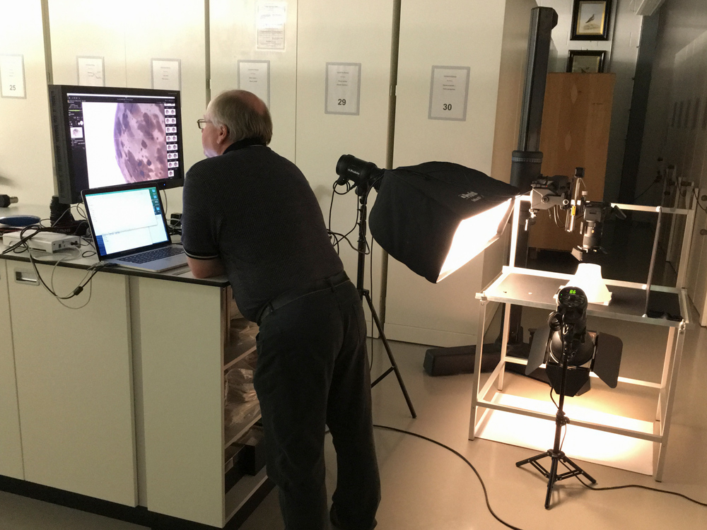 Derek Rattray watches images downloading, Museums of Scotland, Edinburgh.