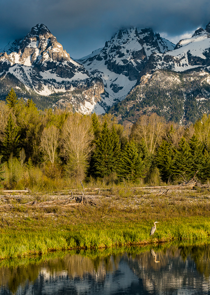 Early Morning Along the Snake River, WY