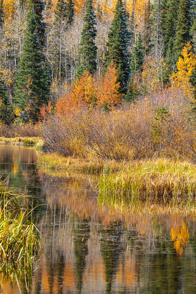 Autumn Reflections, UT