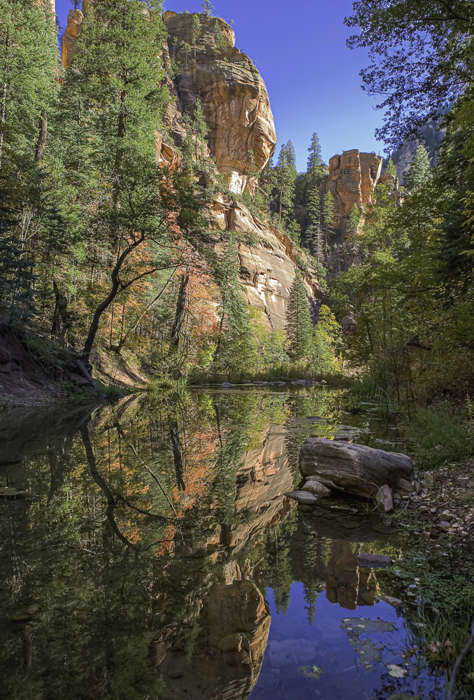 Along the West Fork Trail