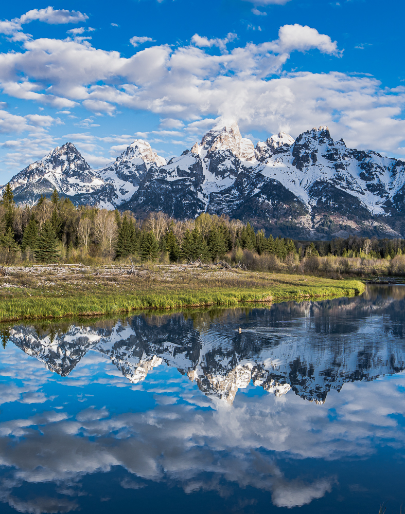 Schwabacher Landing, Grand Teton NP, WY