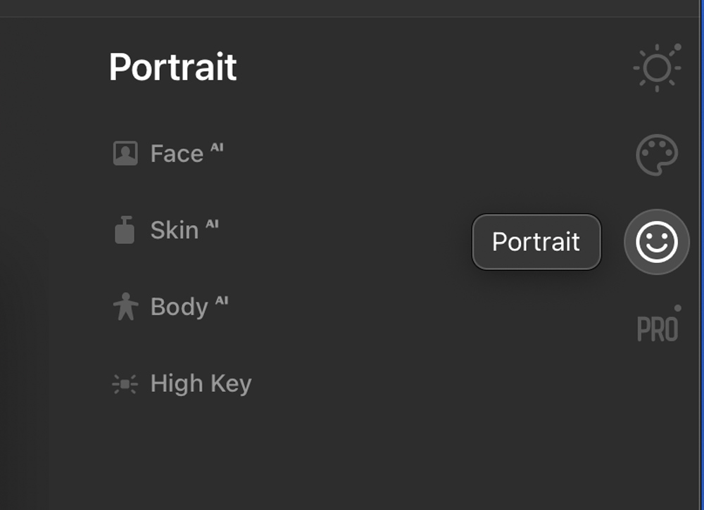 The Portrait Panel