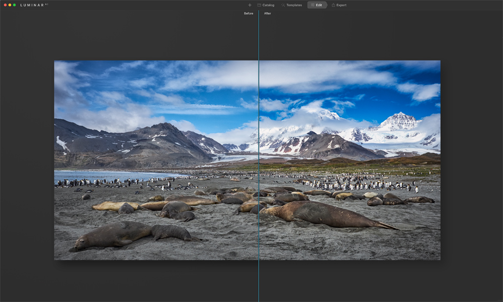 Before and After of edited Image