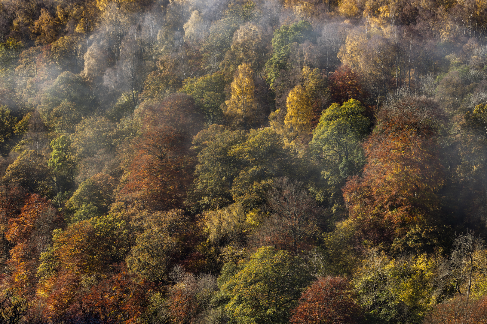Pass of Killiecrankie, Pitlochry, Scotland