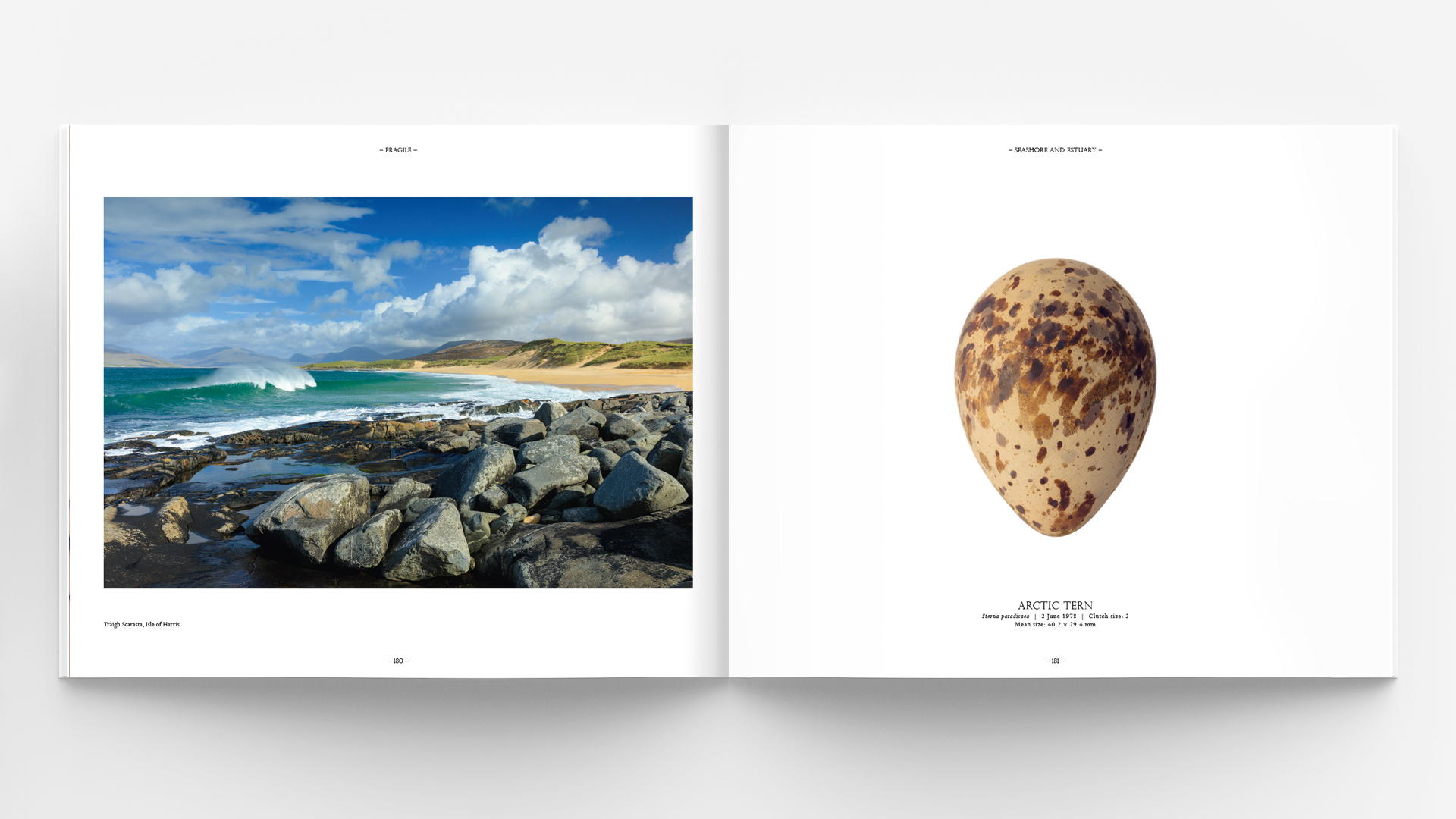 Horizontal - landscape hardcover brochure, book or catalog mock up isolated on soft gray background. 3D illustrating.