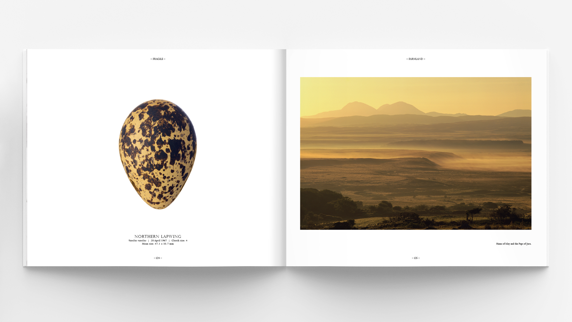 Horizontal - landscape hardcover brochure, book or catalog mock up isolated on soft gray background. 3D illustrating.