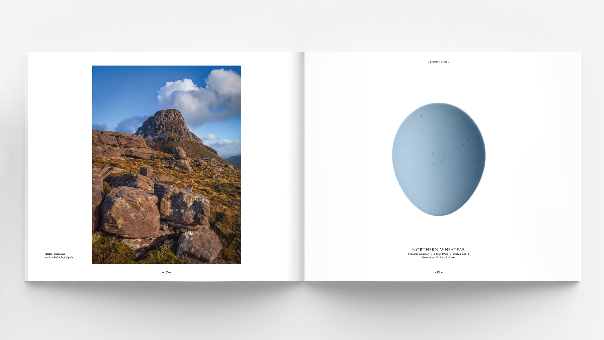 Horizontal - landscape hardcover brochure, book or catalog mock up isolated on soft gray background. 3D illustrating.