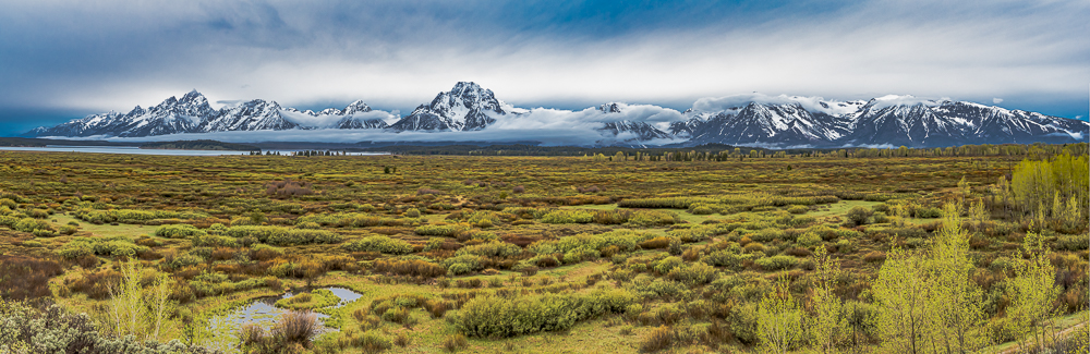 The Grand Teton Range from Willow Flats at Sunrise, 2016”