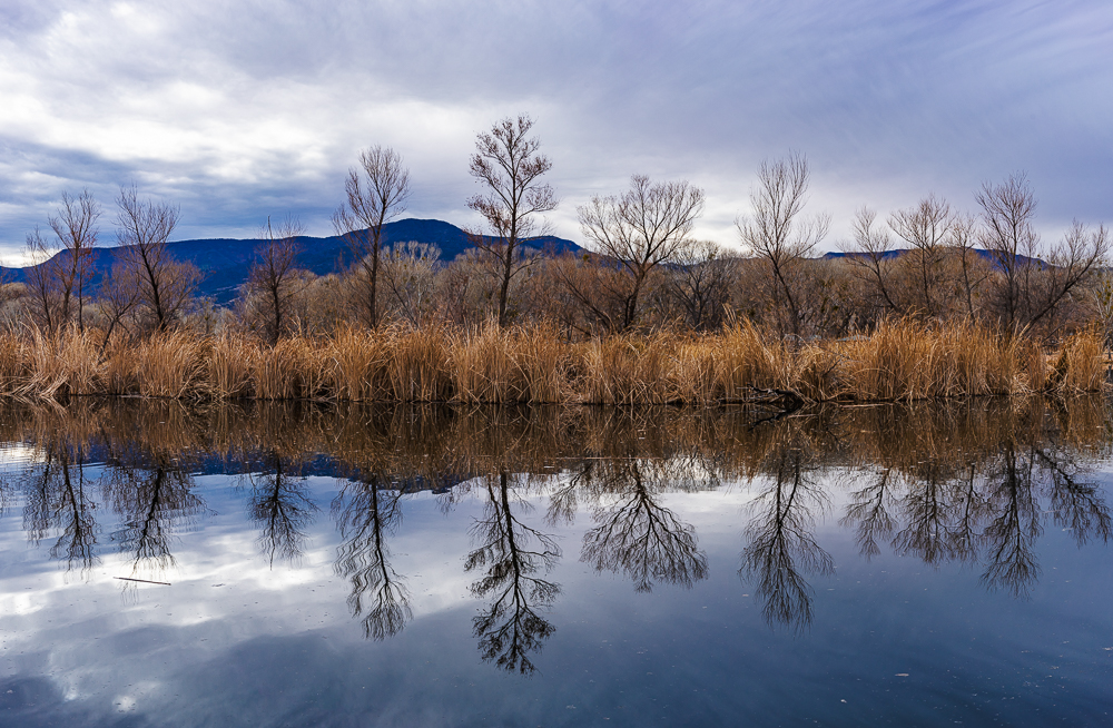 Winter, Dead Horse Ranch, Cottonwood, AZ