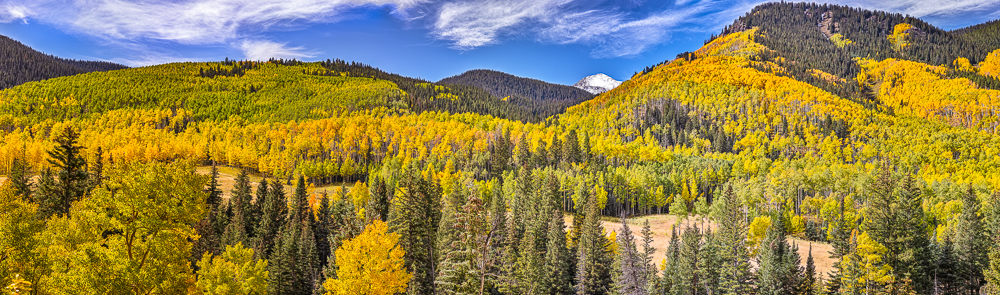 Castle Creek Vista, Aspen, CO, 2013