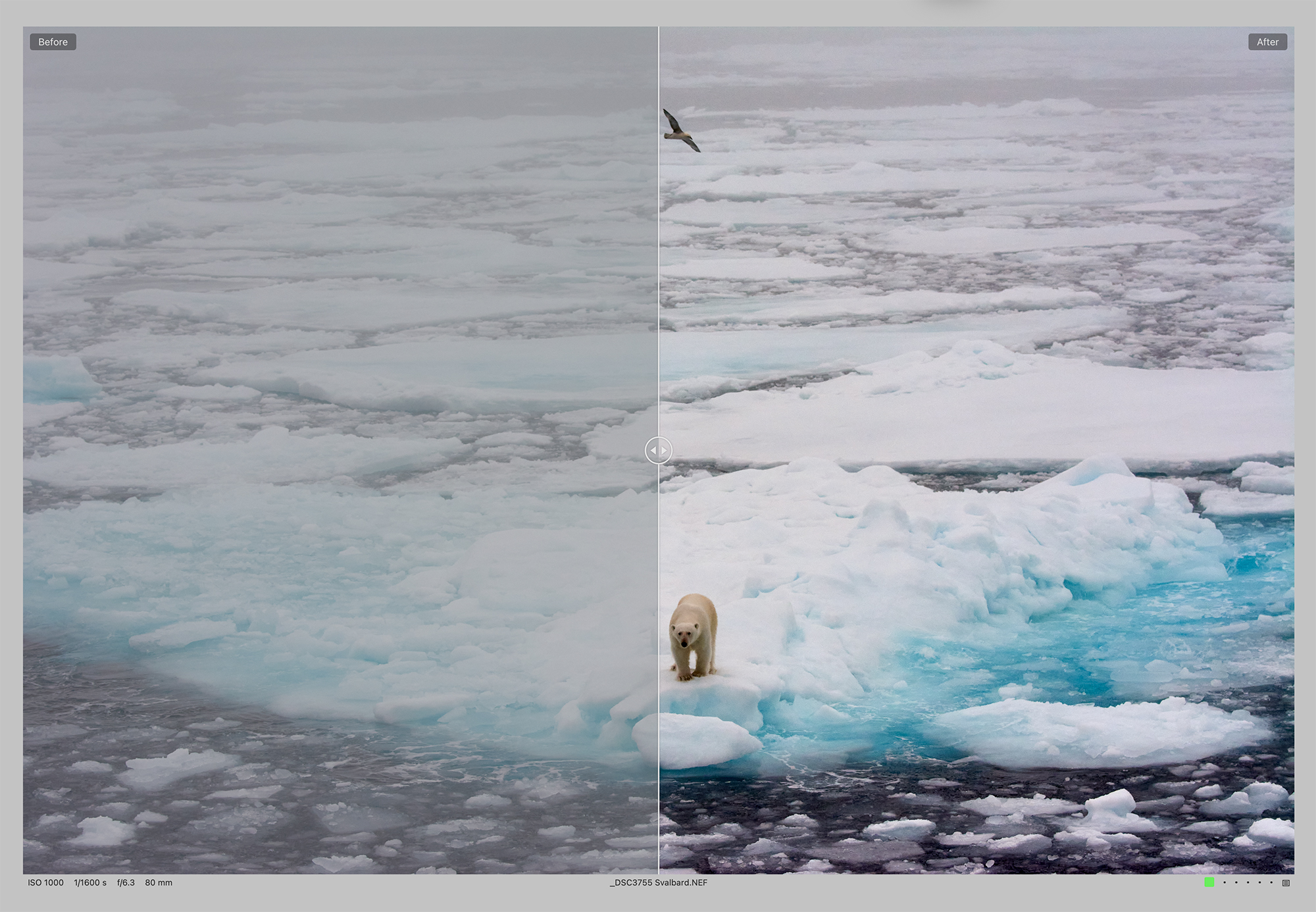 Before and after of the image after being remapped in Levels