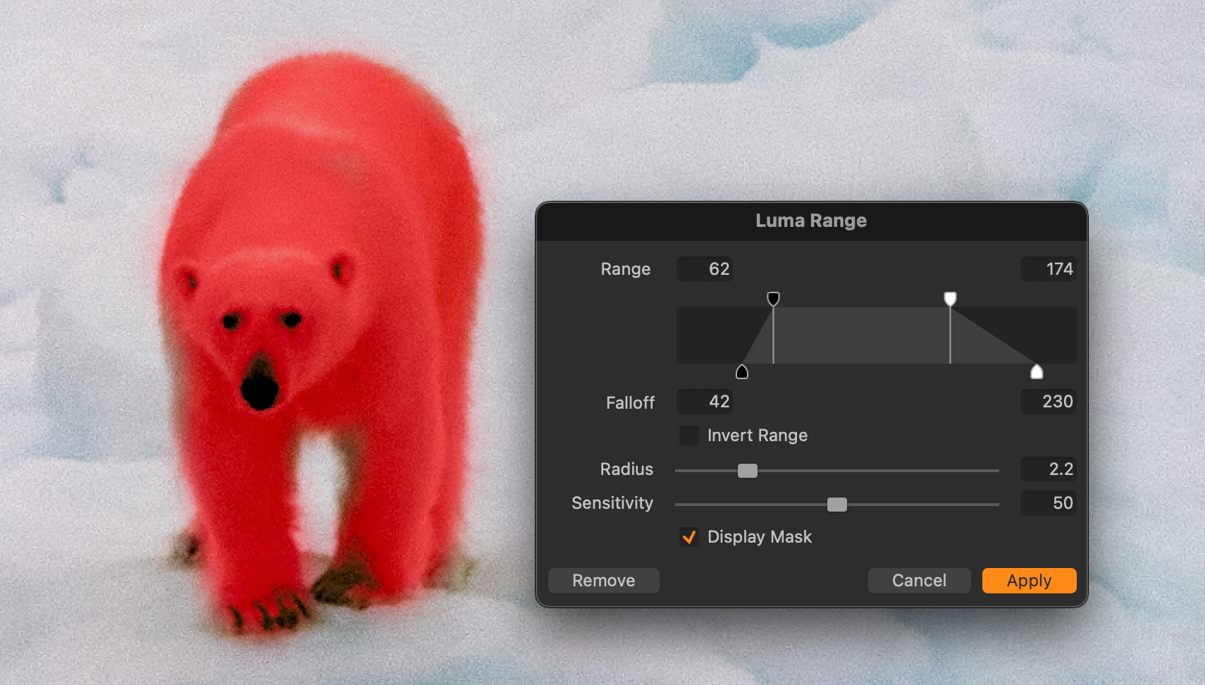 The bear showing the Luminosity mask that was created for the bear