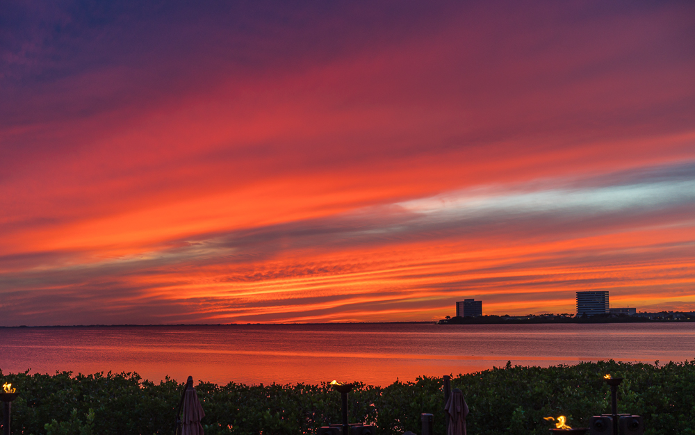 Tampa Bay, FL