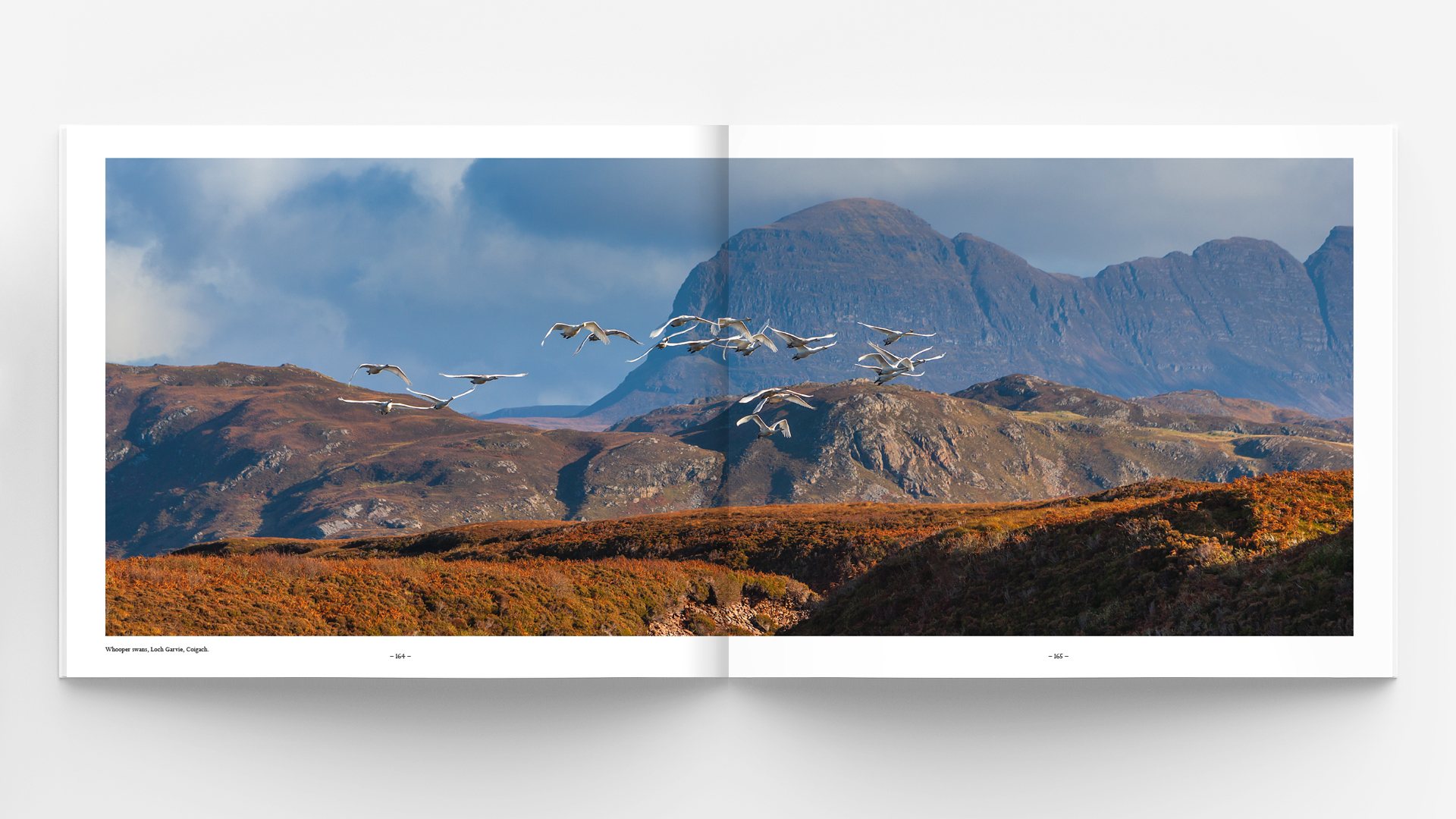Horizontal - landscape hardcover brochure, book or catalog mock up isolated on soft gray background. 3D illustrating.