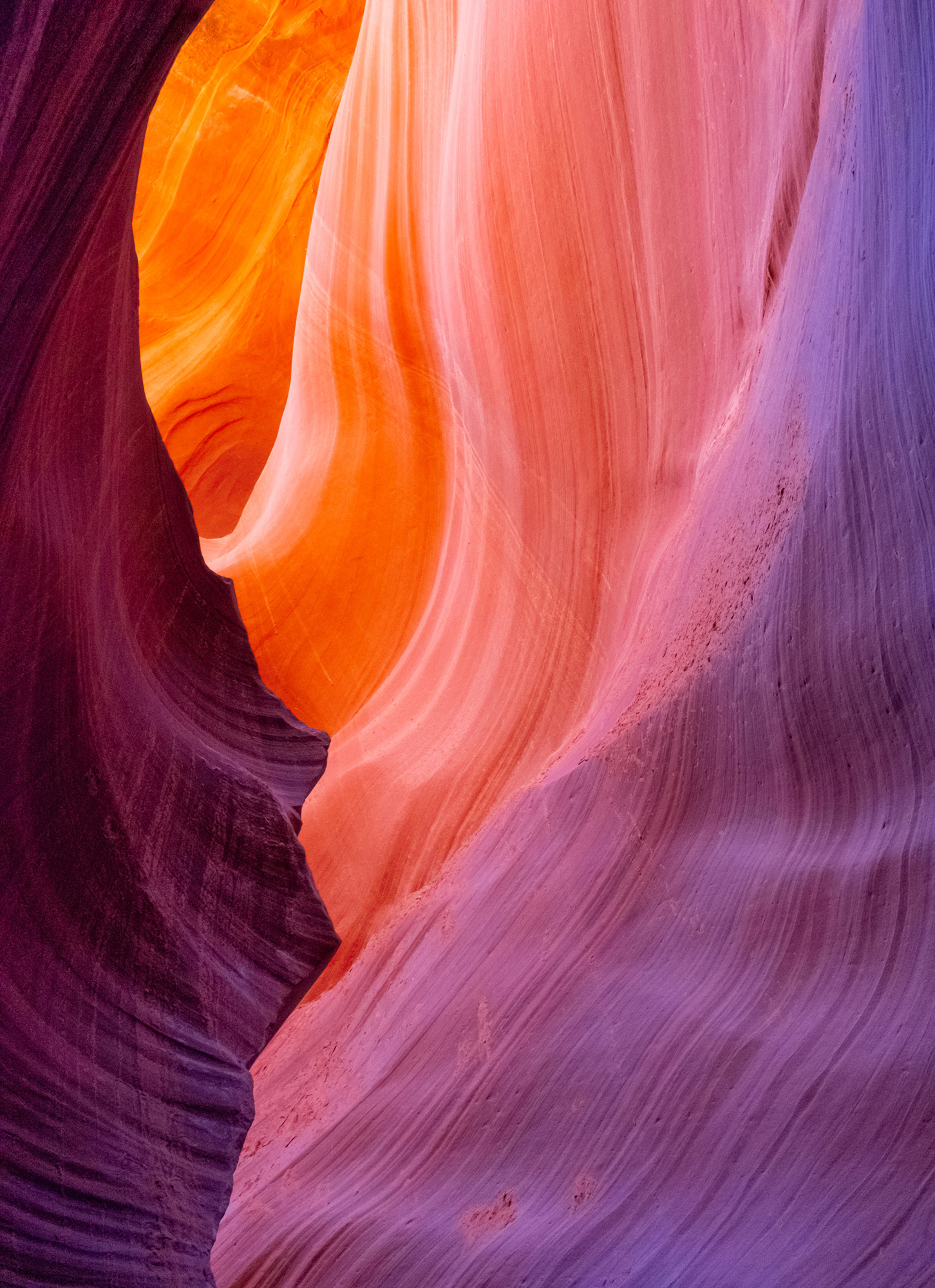 Mauve and Orange Swirls