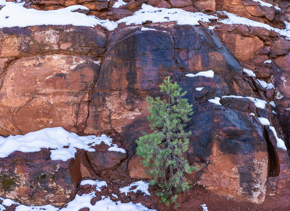 Red Rockface After a Snowfall”, 4x3 Array