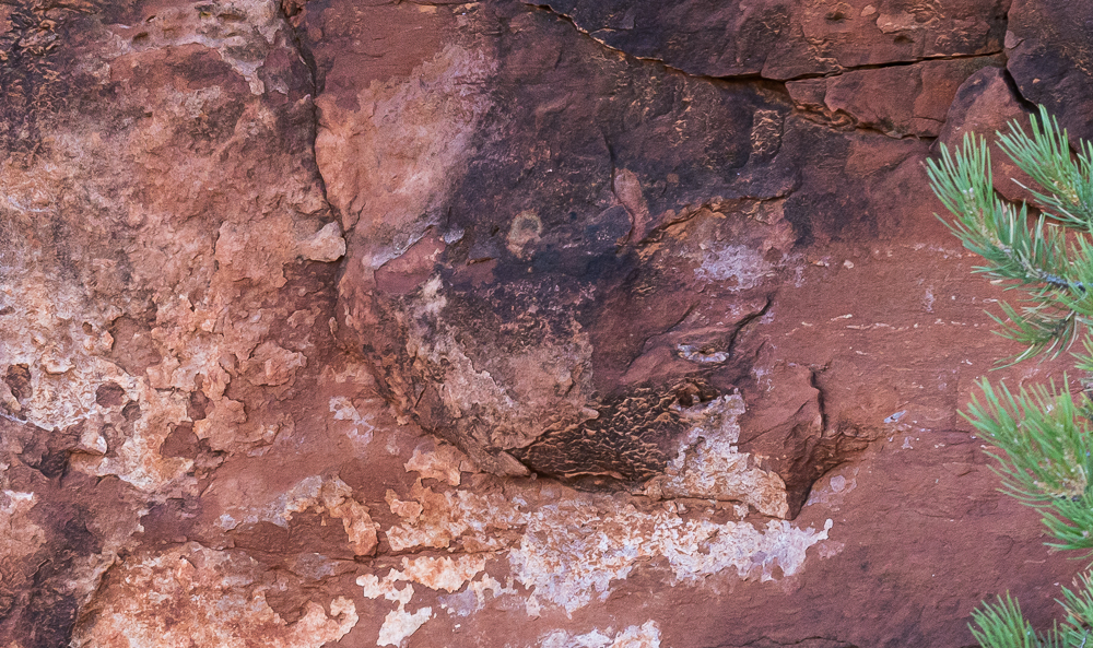 100% cut B of “Red Rockface After a Snowfall