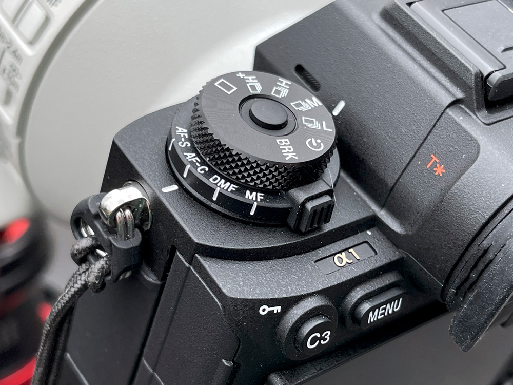 you could need can be set on top of the camera