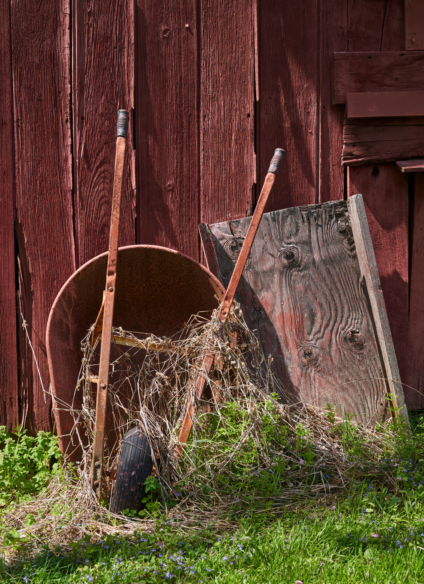 How could I resist the broken wheel barrow