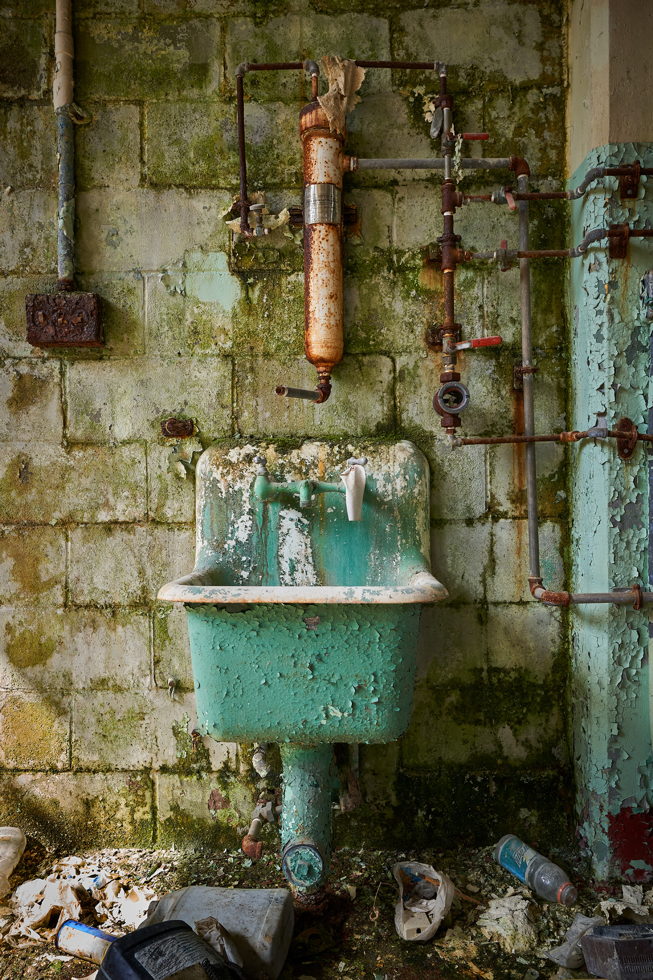 How can you not love the textures in this image?