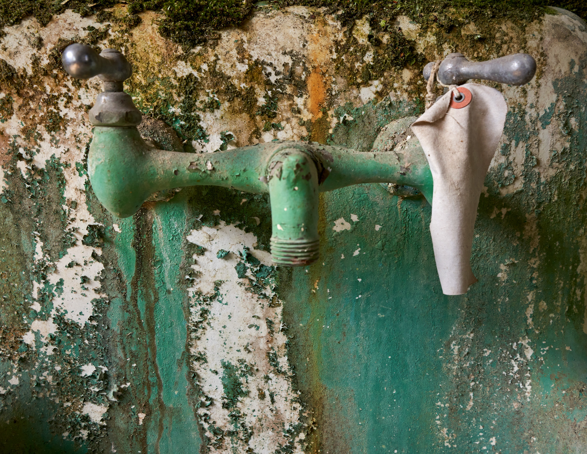 Look at the beautiful peeling paint