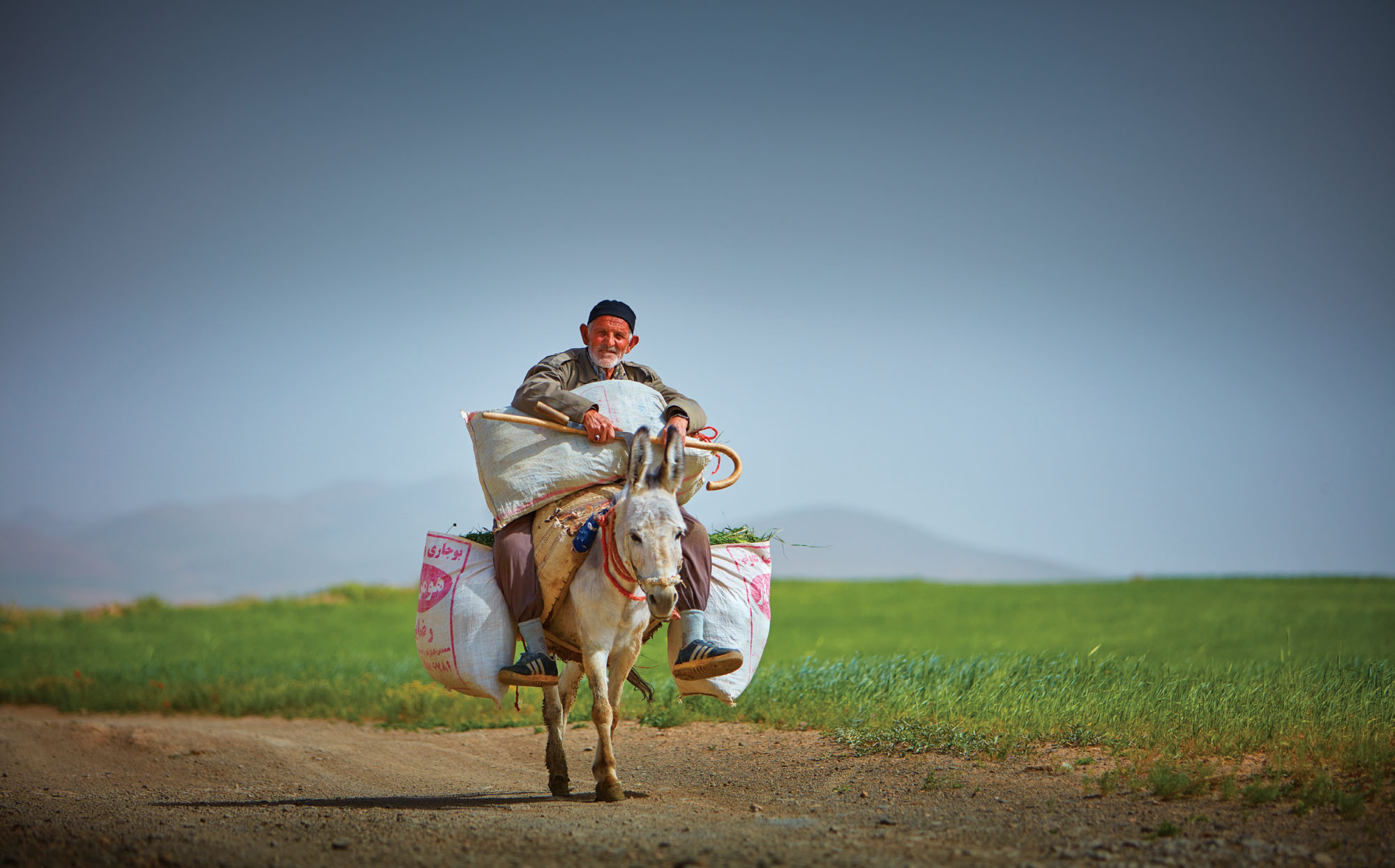 Farmer near Hamadan, Iran. Canon EOS 5DSR, Canon 70-200mm f2.8, f2.8 @ 1/4000 second, ISO 100.