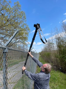Photographing the oak tree
