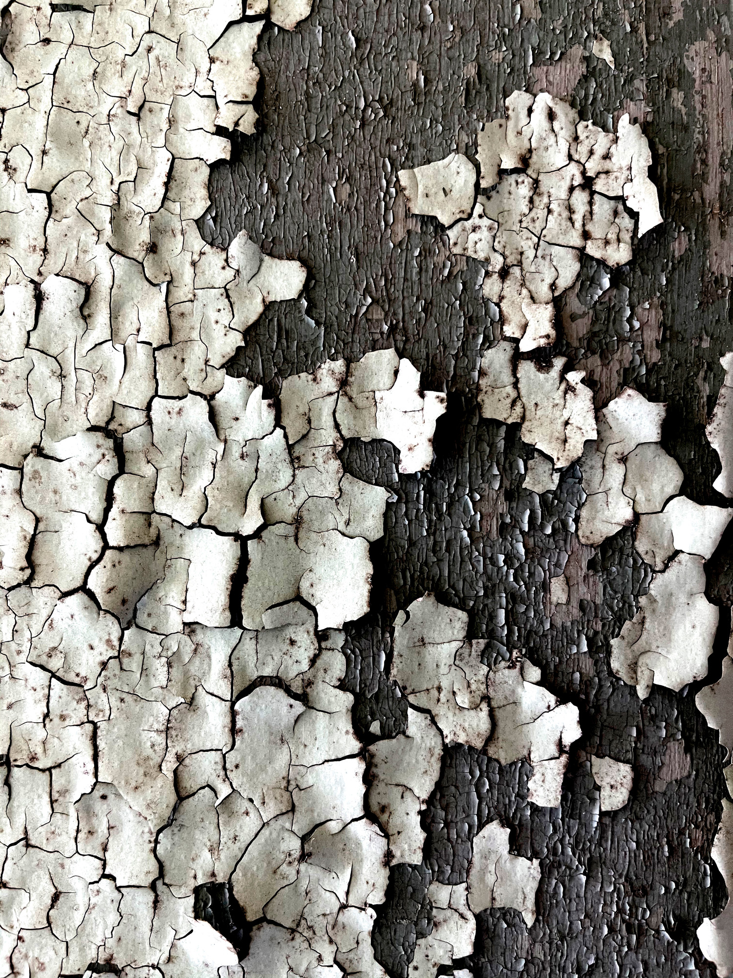 Another favorite of mine, peeling paint.