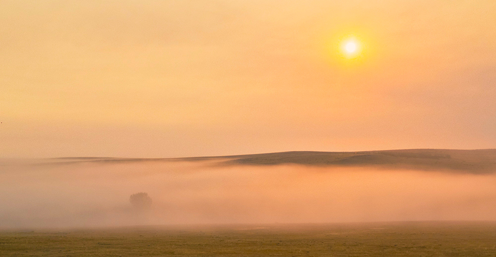 Figure 2 A foggy morning on the plains of Colorado