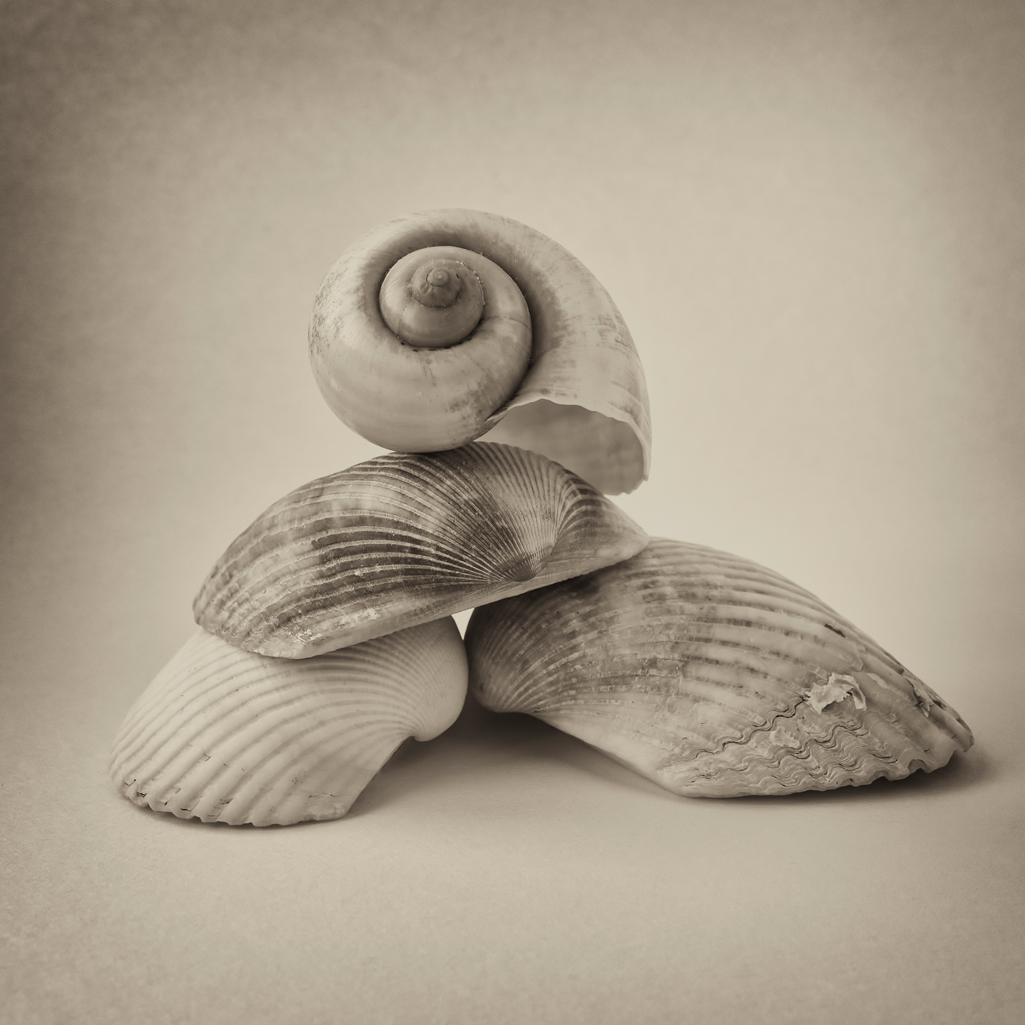 ‘I Hear The Sea’