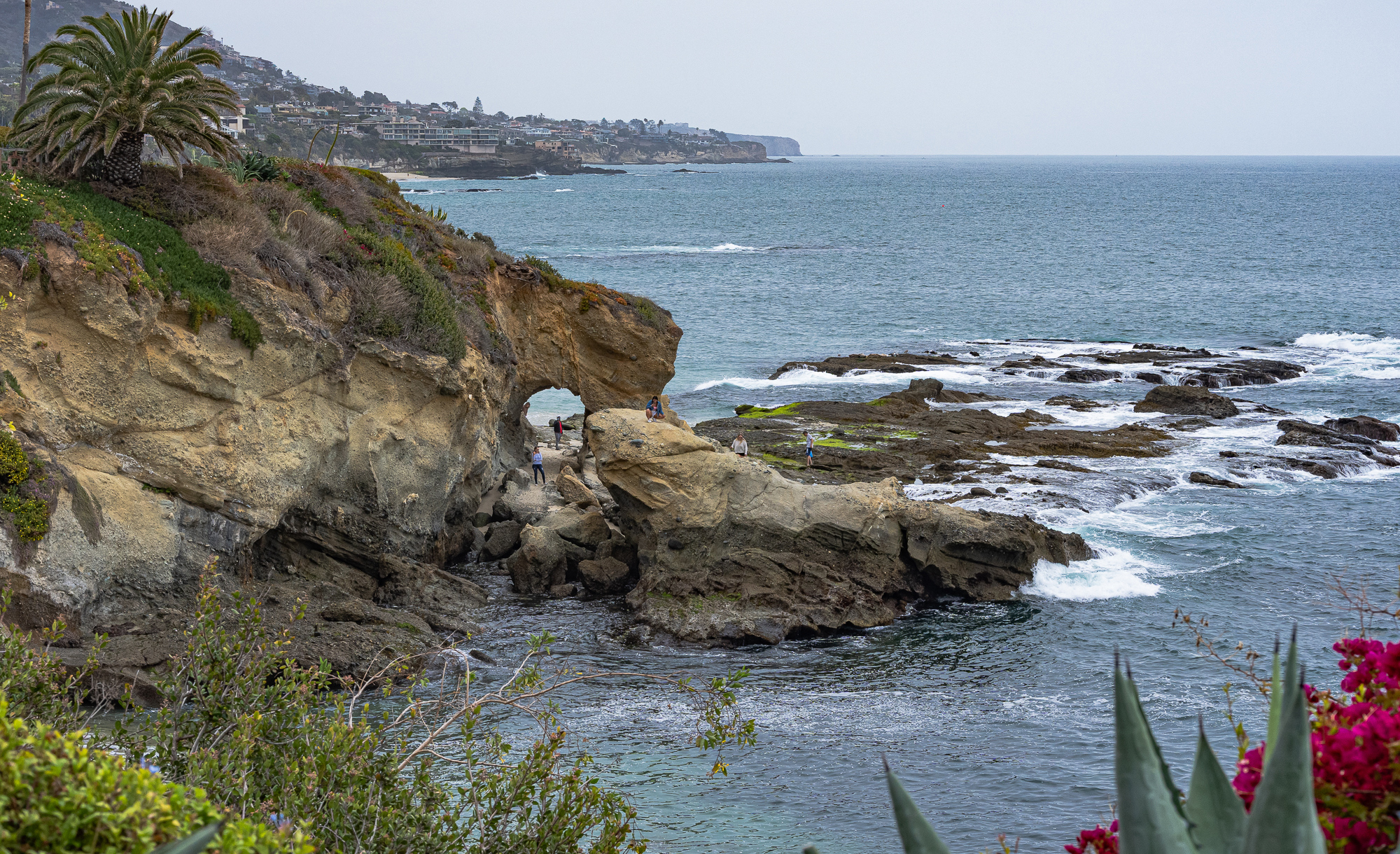 Laguna Beach Coastline from Montage Hotel Grounds