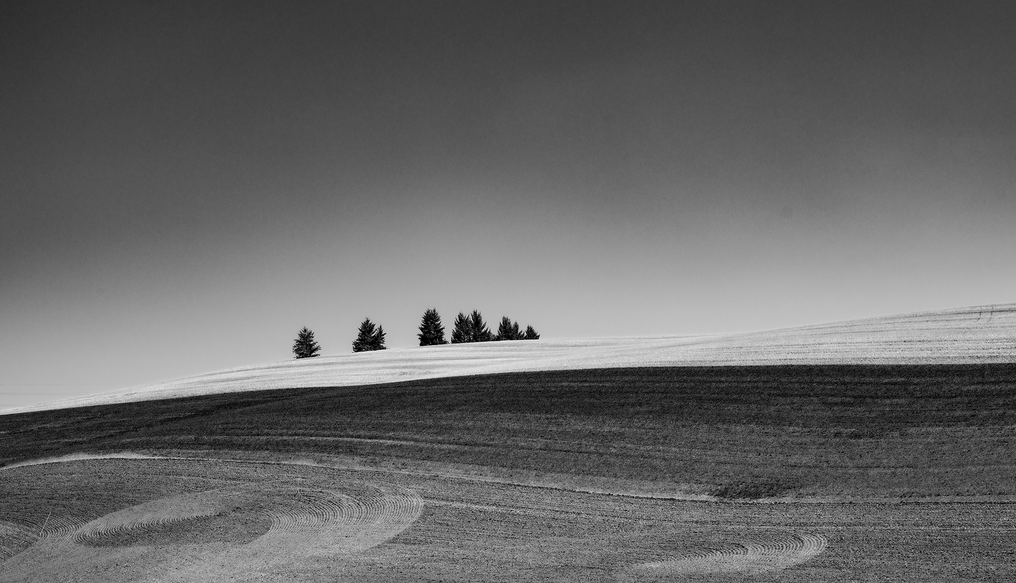 Monochrome focuses the viewer’s attention on the flow of the landscape and the artistic patterns created by the farming of the soil.