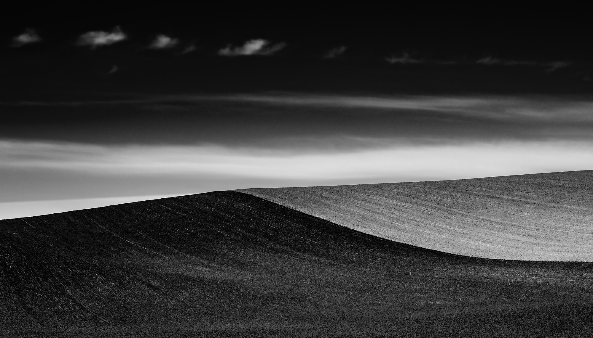 A hill half planted, half not yet, with the boundary between them creating a graceful curve.