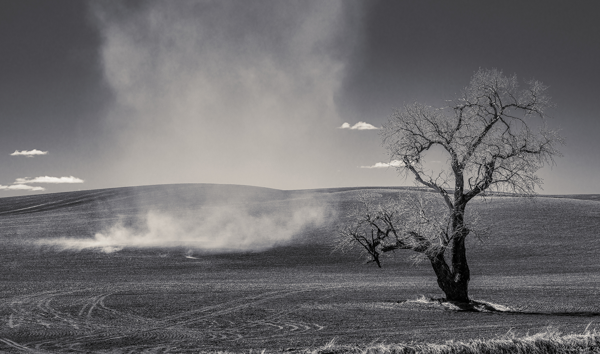 A dust devil blew spontaneously across this hillside.