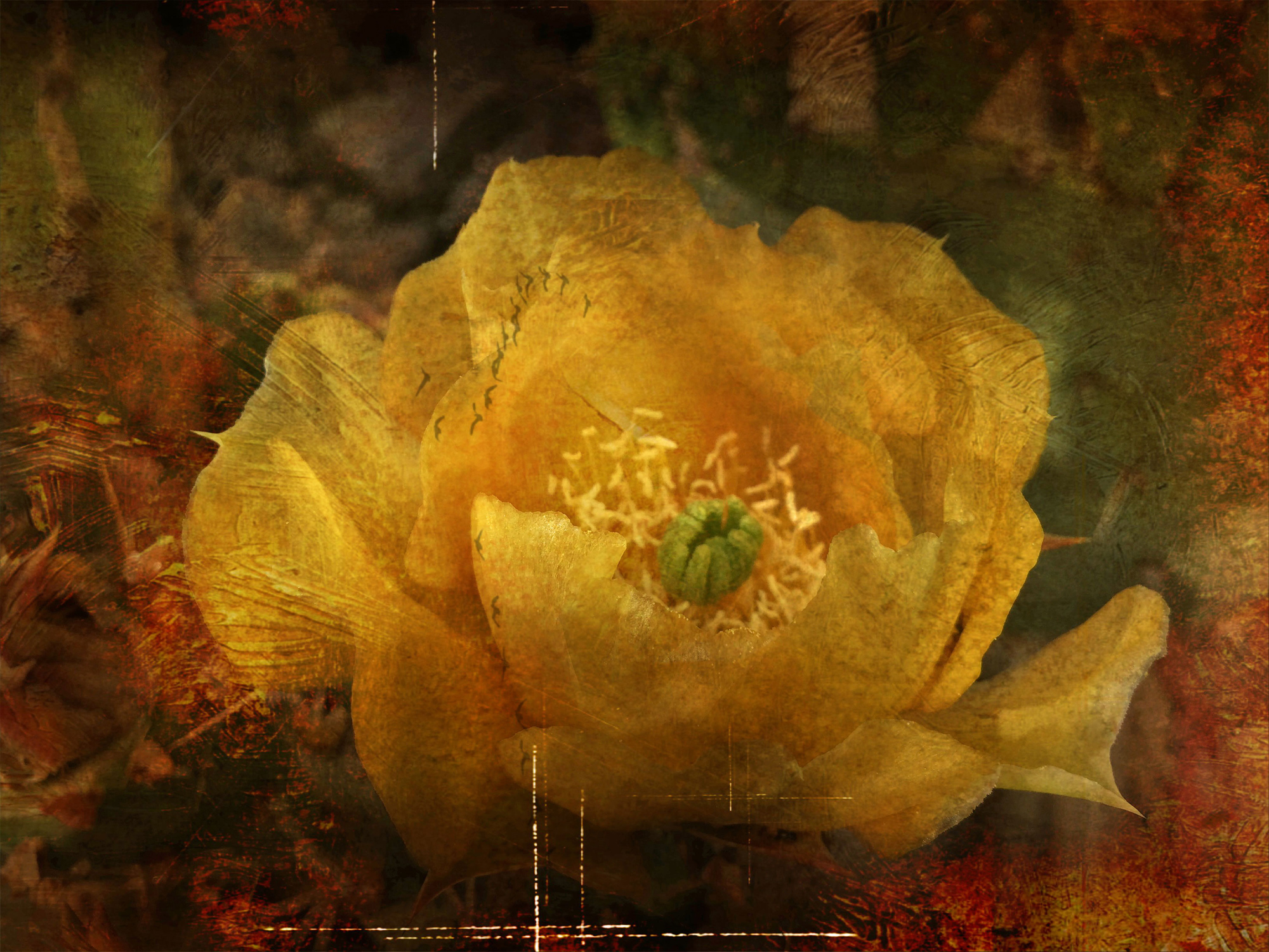 Distressed Yellow Cactus Flower